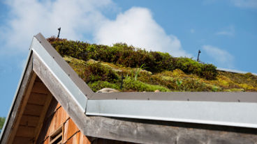 Huis met een groen dak