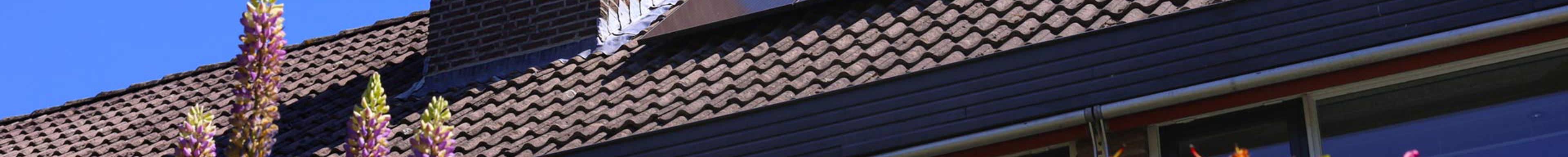 Zonnepanelen op schuin pannendak.