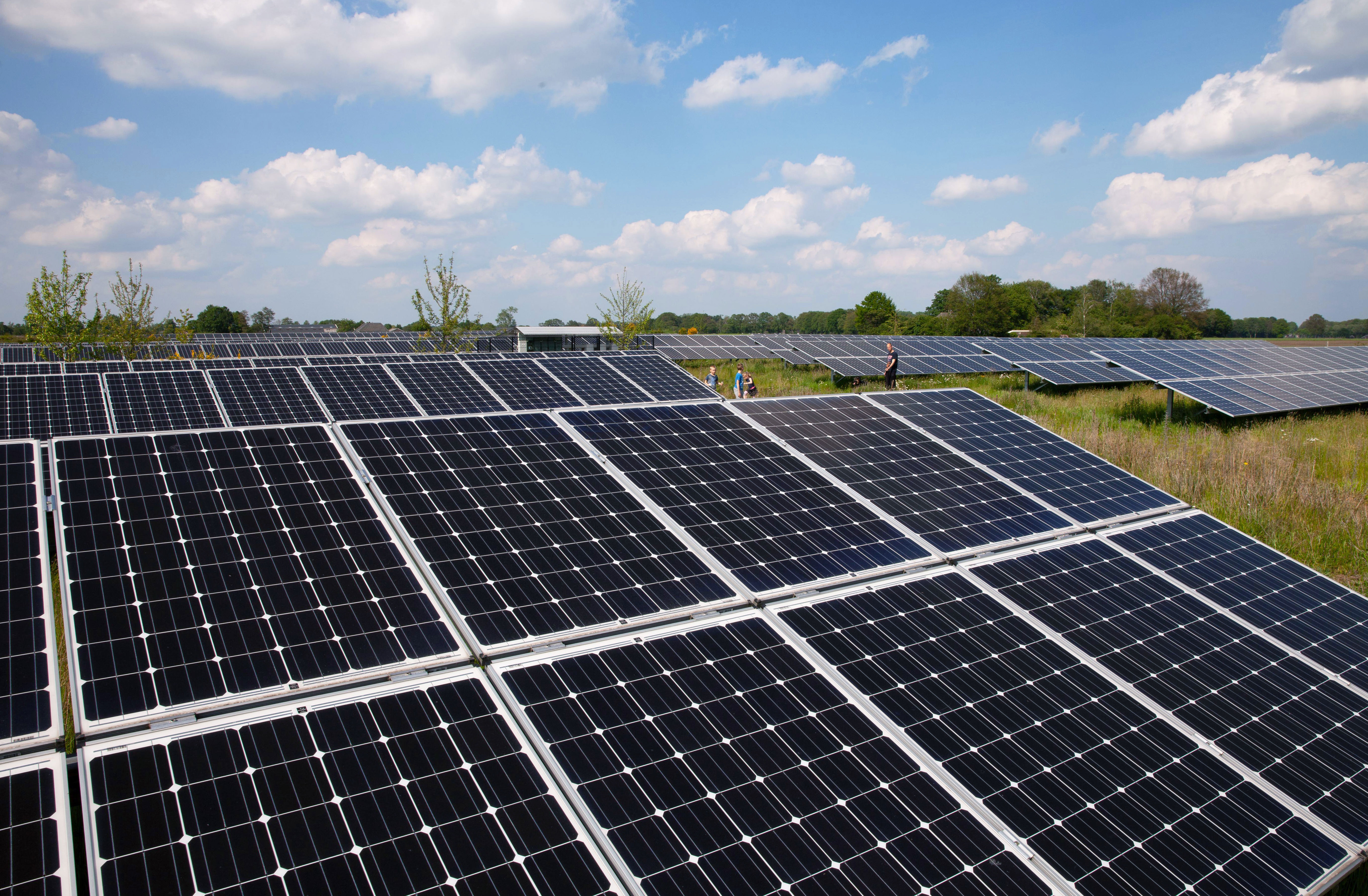 Zonnepanelen in een veld