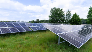 Zonnepanelen in een grasveld. Bomen op de achtergrond.