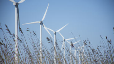Windmolens in lang gras wekken stroom op voor klanten van Greenchoice