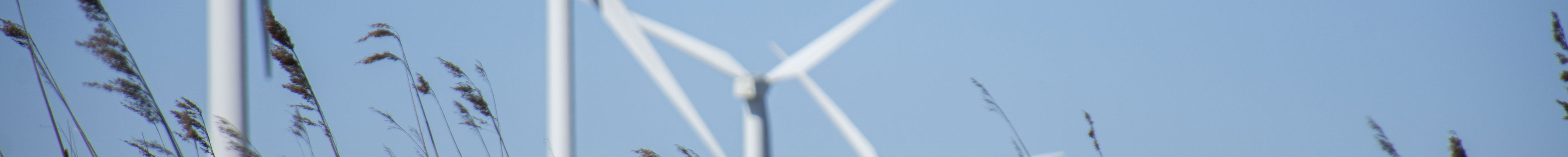 Close-up van lang gras met een rij windmolens op de achtergrond