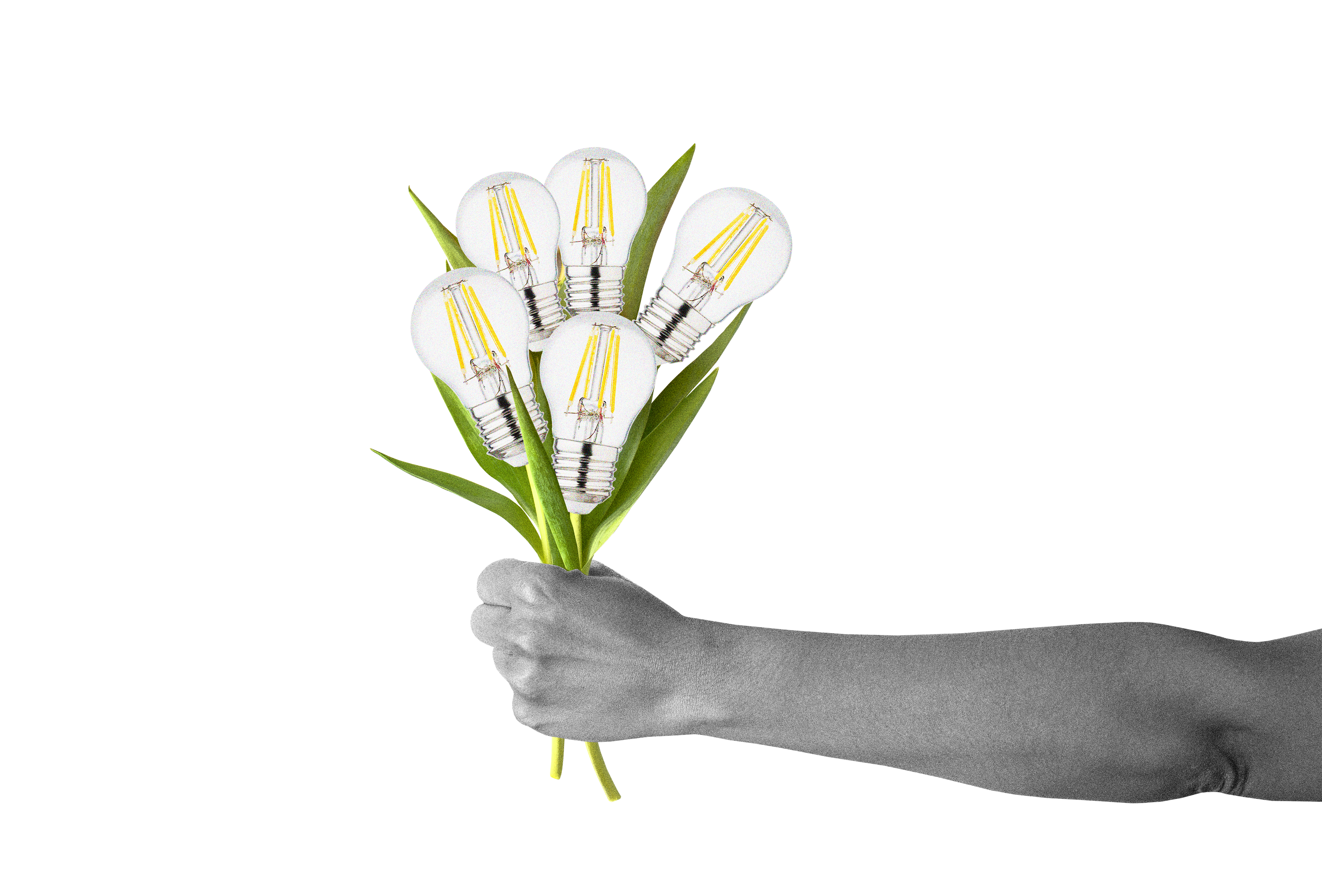 Illustratie van een hand met bloemen